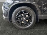 Ssangyong Musso bei Sportwagen.expert - Abbildung (13 / 15)