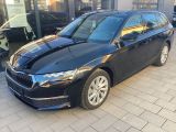 Skoda Octavia bei Sportwagen.expert - Abbildung (3 / 15)