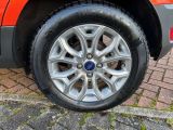 Ford EcoSport bei Sportwagen.expert - Abbildung (9 / 15)