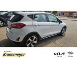 Ford Fiesta bei Sportwagen.expert - Abbildung (4 / 15)