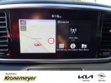 Kia Sportage bei Sportwagen.expert - Abbildung (11 / 15)