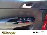 Kia Sportage bei Sportwagen.expert - Abbildung (7 / 15)