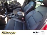 Kia Sportage bei Sportwagen.expert - Abbildung (6 / 15)