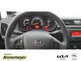 Kia Rio bei Sportwagen.expert - Abbildung (10 / 15)