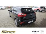 Kia Rio bei Sportwagen.expert - Abbildung (5 / 15)