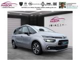 Citroen C4 bei Sportwagen.expert - Abbildung (3 / 15)