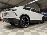 Lamborghini Urus bei Sportwagen.expert - Abbildung (2 / 15)