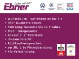 VW Polo bei Sportwagen.expert - Abbildung (8 / 9)