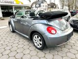 VW New Beetle bei Sportwagen.expert - Abbildung (7 / 15)