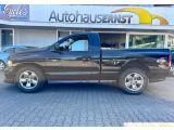 Dodge RAM bei Sportwagen.expert - Abbildung (9 / 15)