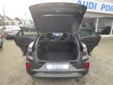 Ford Puma bei Sportwagen.expert - Abbildung (12 / 15)