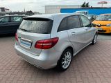 Mercedes-Benz B-Klasse bei Sportwagen.expert - Abbildung (3 / 15)