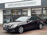 Mercedes-Benz E-Klasse bei Sportwagen.expert - Abbildung (2 / 15)