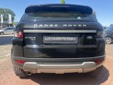 Land Rover Range Rover Evoque bei Sportwagen.expert - Abbildung (3 / 11)