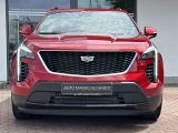 Cadillac XT4 bei Sportwagen.expert - Abbildung (5 / 15)