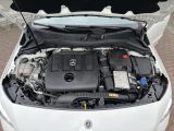 Mercedes-Benz B-Klasse bei Sportwagen.expert - Abbildung (6 / 15)