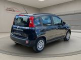 Fiat Panda bei Sportwagen.expert - Abbildung (5 / 15)