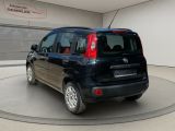 Fiat Panda bei Sportwagen.expert - Abbildung (7 / 15)