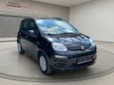 Fiat Panda bei Sportwagen.expert - Abbildung (3 / 15)