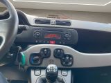 Fiat Panda bei Sportwagen.expert - Abbildung (13 / 15)