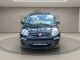 Fiat Panda bei Sportwagen.expert - Abbildung (2 / 15)