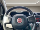 Fiat Panda bei Sportwagen.expert - Abbildung (9 / 15)