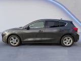 Ford Focus bei Sportwagen.expert - Abbildung (7 / 15)