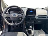 Ford EcoSport bei Sportwagen.expert - Abbildung (10 / 15)