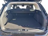 Ford Focus Turnier bei Sportwagen.expert - Abbildung (14 / 15)