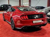 Ford Mustang bei Sportwagen.expert - Abbildung (15 / 15)