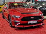 Ford Mustang bei Sportwagen.expert - Abbildung (14 / 15)