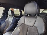 Audi SQ5 bei Sportwagen.expert - Abbildung (11 / 15)