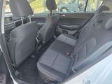 Kia Sportage bei Sportwagen.expert - Abbildung (9 / 11)