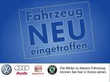 Renault Megane bei Sportwagen.expert - Abbildung (2 / 15)