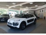 Citroen C4 Cactus bei Sportwagen.expert - Abbildung (4 / 15)