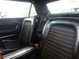 Ford Mustang bei Sportwagen.expert - Abbildung (15 / 15)