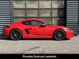 Porsche Cayman bei Sportwagen.expert - Abbildung (7 / 15)