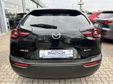 Mazda MX-30 bei Sportwagen.expert - Abbildung (6 / 14)