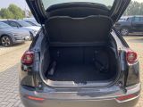 Mazda MX-30 bei Sportwagen.expert - Abbildung (7 / 10)