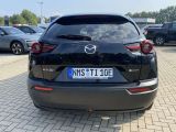 Mazda MX-30 bei Sportwagen.expert - Abbildung (6 / 10)