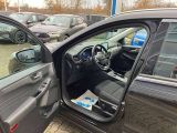 Ford Kuga bei Sportwagen.expert - Abbildung (7 / 15) Ford Kuga bei Sportwagen.expert - Abbildung (7 / 15)