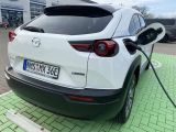 Mazda MX-30 bei Sportwagen.expert - Abbildung (6 / 12)