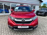 Honda CR-V bei Sportwagen.expert - Abbildung (6 / 15)