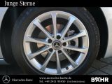 Mercedes-Benz B-Klasse bei Sportwagen.expert - Abbildung (6 / 15)