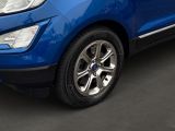 Ford EcoSport bei Sportwagen.expert - Abbildung (6 / 15)