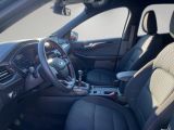 Ford Kuga bei Sportwagen.expert - Abbildung (7 / 15)
