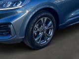 Ford Kuga bei Sportwagen.expert - Abbildung (6 / 15)