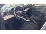 Seat Arona bei Sportwagen.expert - Abbildung (6 / 15)