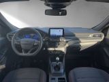 Ford Kuga bei Sportwagen.expert - Abbildung (14 / 15)