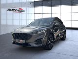 Ford Kuga bei Sportwagen.expert - Abbildung (2 / 15)